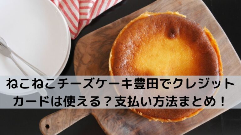 ねこねこチーズケーキ豊田でクレジットカードは使える？支払い方法まとめ！